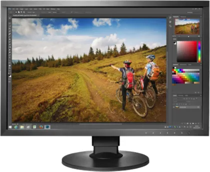 Eizo ColorEdge CG2420 24.1 inch WUXGA Monitor
