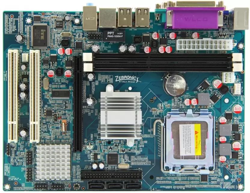 zebronics best motherboard