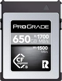ProGrade Digital Silver 650GB CFexpress 2.0 Type B Memory Card