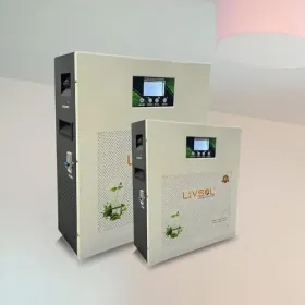 Livsol L-iON2500 2KVA 25.6V 100Ah Solar Inverter