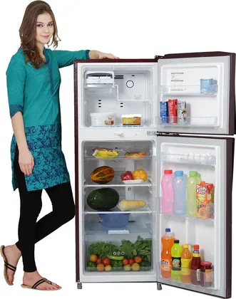 LG GL-B252VMGY 240 L Double Door Refrigerator