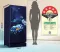 Haier HED-205MHBA-P 190 L 5 Star Single Door Refrigerator
