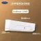 Carrier CAI24CE5R35F0 2 Ton 5 Star 2025 Inverter Split AC