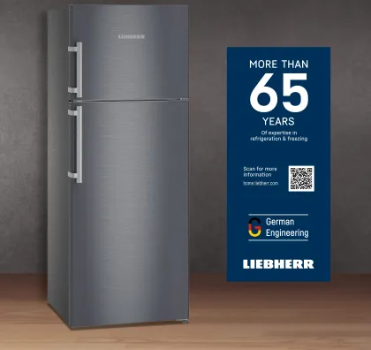 Liebherr TDcsB 4740 420 L 2 Star Double Door Refrigerator
