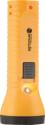 Agni Solar AG-202 Solar Torch LED Light