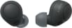 Sony WF-C700N True Wireless Earbuds