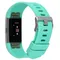 Fitbit Charge 2 Large Fitness Band