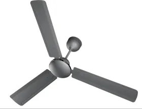 Rico Oric CF2502 1200 mm 3 Blade BLDC Ceiling Fan
