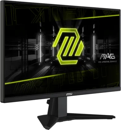 MSI MAG 255XFV 25 inch Full HD Gaming Monitor