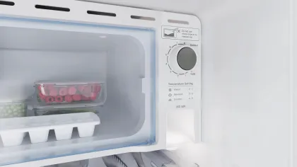 Bosch COT18B21EI 185 L 1 Star Single Door Refrigerator