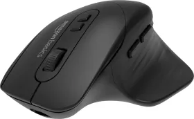 AmazonBasics Pro ABKYR599 Wireless Mouse