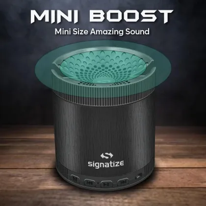 Signatize ‎SZ-5028 5W Bluetooth Speaker - Price in India (Apr 2026 ...