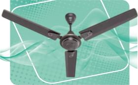 MinMax Winger 1200 mm 3 Blade Ceiling Fan