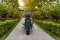 Triumph Speed 400