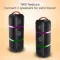 Krisons Eternal 100W Bluetooth Speaker