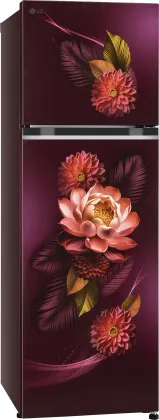 LG GL-S312SRWY 272 L 2 Star Double Door Refrigerator
