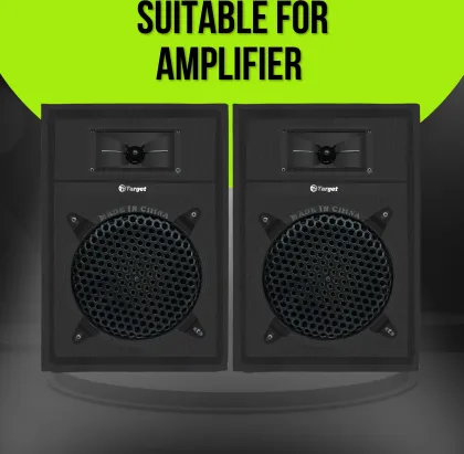 Target TT-305 80W Multimedia Speaker