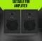 Target TT-305 80W Multimedia Speaker