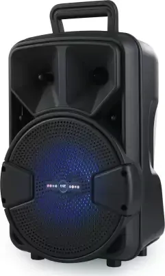 MZ M47VPA 10W Bluetooth Speaker