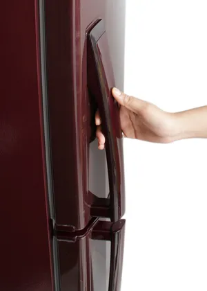 LG GL-B252VMGY 240 L Double Door Refrigerator