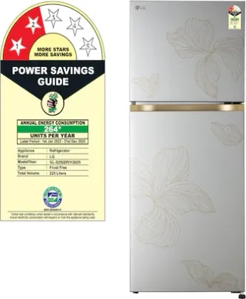 LG GL-S252ZRIY 225 L 2 Star Double Door Refrigerator