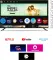 Bazeegar BAZ40S 40 inch Full HD Smart QLED TV