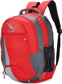 Dezful 36 L Casual Backpack