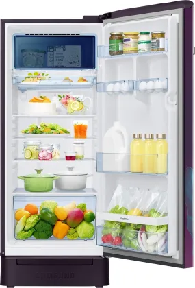 Samsung RR23D2F349R 215 L 4 Star Single Door Refrigerator
