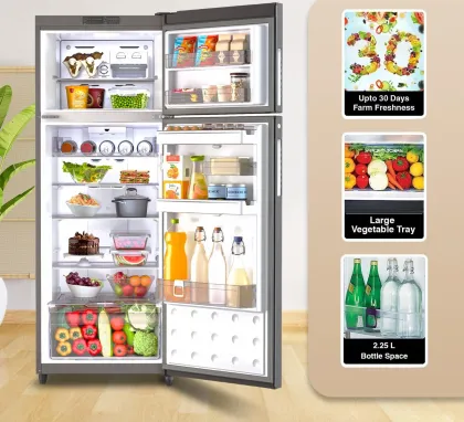 Godrej RF EON 331B RCIT ST RH 308 L 2 Star Double Door Refrigerator