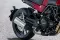 Benelli Leoncino 500