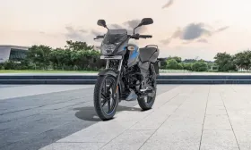 Bajaj Pulsar 150 Twin Disc