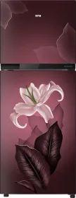 IFB IFBFF-2902FRBT 243 L 2 Star Double Door Refrigerator