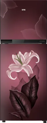 IFB IFBFF-2902FRBT 243 L 2 Star Double Door Refrigerator