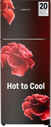 Liebherr TCPrdB 2411 245 L 2 Star Double Door Refrigerator