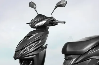 Joy e-Bike Wolf Plus