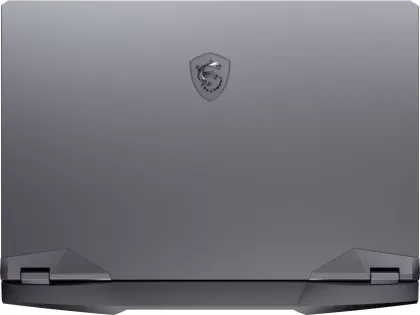MSI GE66 Raider 10SF-611IN Gaming Laptop (10th Gen Core i7/ 32GB/ 1TB SSD/ Win10 Home/ 8GB Graph)