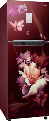 Samsung RT28B3522RZ 244L 2 Star Double Door Refrigerator