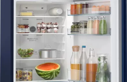 Bosch CTN27BT31I 243 L 3 Star Double Door Refrigerator