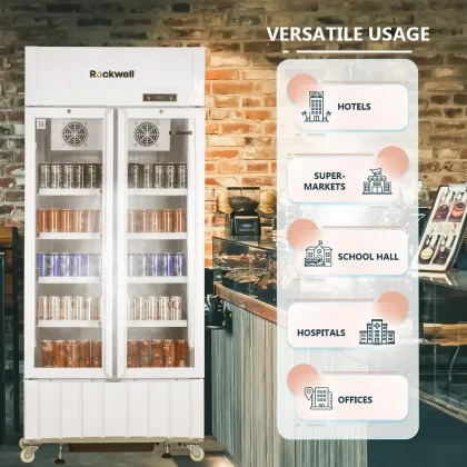 Rockwell RVC600A 460 L Double Glass Door Visi Cooler