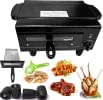 Wellberg ‎WB-8877329 2000W Electric Tandoor