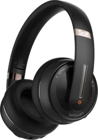 SaltGears Rockster Wireless Headphones