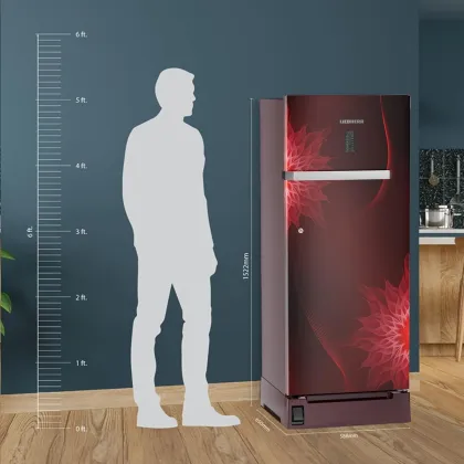 Liebherr DFBrmD 2225 222 L 4 Star Single Door Refrigerator