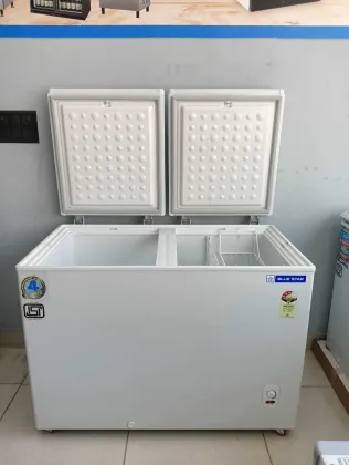 Blue Star CFHDD300MEW 300 L Double Door Deep Freezer