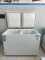 Blue Star CFHDD300MEW 300 L Double Door Deep Freezer