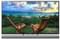 Sony KDL-43W950D 43 inch Full HD Smart LED TV