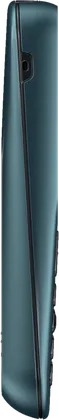 Nokia 100