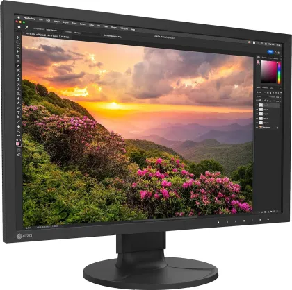 Eizo ColorEdge CS2400S 24.1 inch WUXGA Monitor