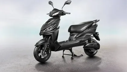 Joy e-Bike Wolf Plus