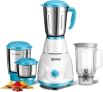 Havok Neo 800W Mixer Grinder