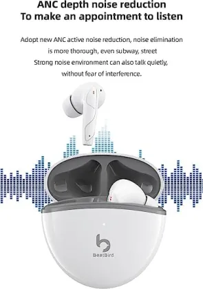 BeatBird Air 2 True Wireless Earbuds